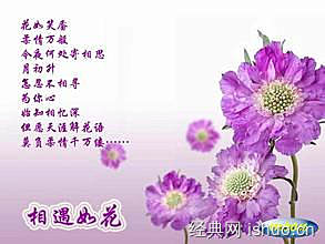 描写红杏的优美生动的句子,描写红杏的优美句子?,描写一支红杏的优美句子