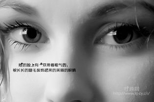 句子,描写,护士,眼睛