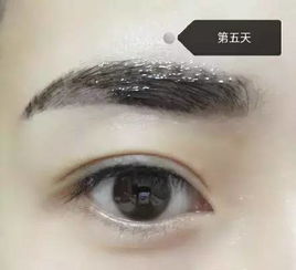 描写人开心时眉毛变化的句子