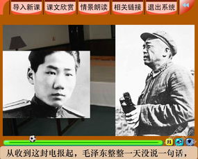 青山处处埋忠骨中描写主席语言的句子
