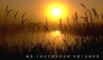 描写武汉寂静的句子