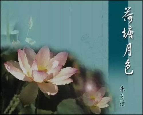 荷塘月色中描写感情的句子