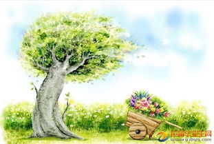 四年级描写颜色的句子有哪些,描写颜色的句子大全,描写颜色的句子四年级下册