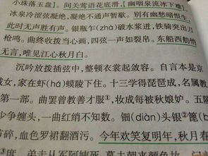 琵琶行通过正面侧面描写琴艺高超的句子