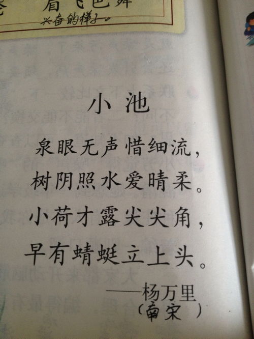 句子,描写,诗中,颜色