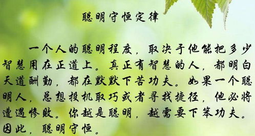 描写别人聪明的句子,描写人聪明的句子,描写聪明的句子