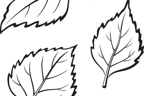 描写秋天菜地的好句子