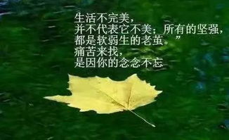 描写自己清闲句子