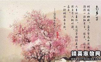 关于缘分的古风句子,描写缘分的唯美句子,描写人与人的缘分的句子