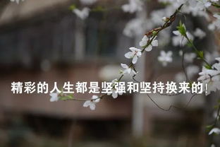 描写努力的优美句子,周一努力奋斗的句子,描写周一早上的句子