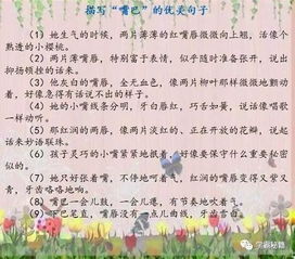 摘抄外人物外貌描写的句子(少点)