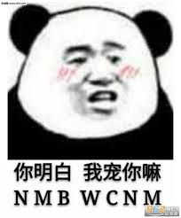 句子,描写,语言,特别