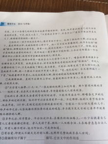 语段中的句子属于作者的描写