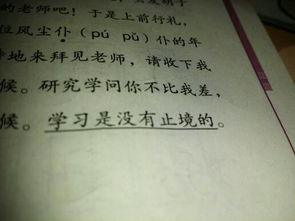 苹果描写外形的句子有哪些,描写苹果的优美句子,描写苹果成熟的句子