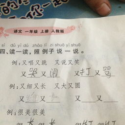 描写圆圈的句子