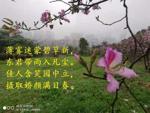 描写春色满园的句子