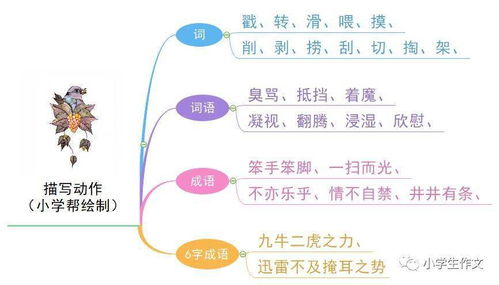 描写兴趣爱好的优美句子,描写小男孩兴趣爱好的句子,描写兴趣爱好的英文句子
