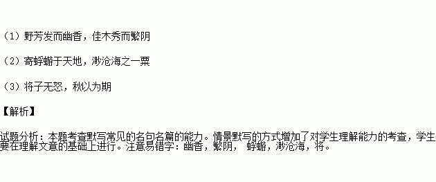 句子,描写,颜色,感受