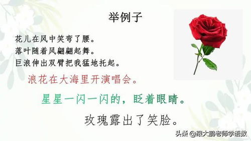 神态,句子,描写,表情