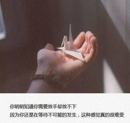 描写手有点皱的句子
