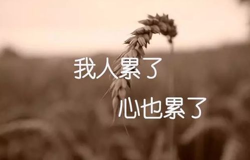 描写自己强大后的句子