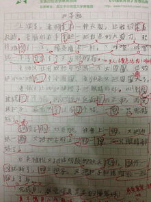描写扣子的句子