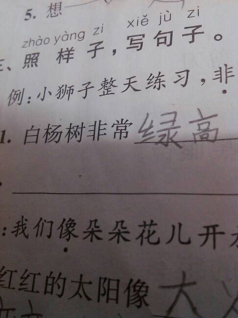 描写杨树的句子20字