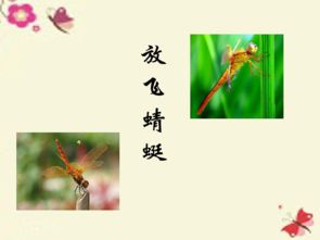 波浪,蜻蜓,画出,句子