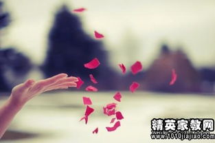 描写颜色的句子和感受