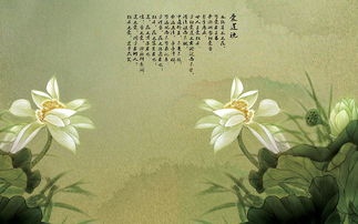 爱莲说中描写莲花高洁朴的句子是