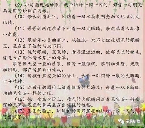 句子,描写,人物肖像