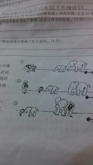 描写大象的脑袋的句子