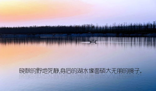 描写小岛上优美风景的句子