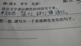 描写颜色补语是句子