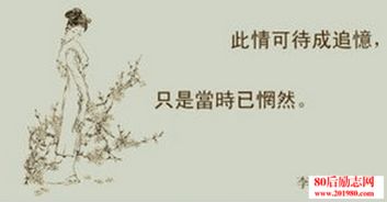 古文,诗句,句子,描写