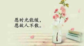 和好如初,句子,描写