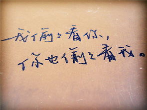 描写卷面不好的句子