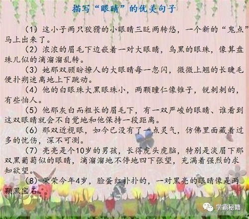 摘抄人物外貌描写的优美句子,小学生人物外貌描写的句子摘抄,人物外貌描写的句子摘抄10字