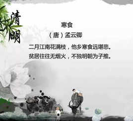 描写清明节的句子佳句,描写清明节的优美句子,描写清明节扫墓的句子