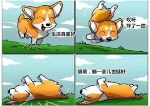 用比喻来描写心情好的句子