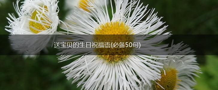 送宝贝的生日祝福语(必备50句),第1张