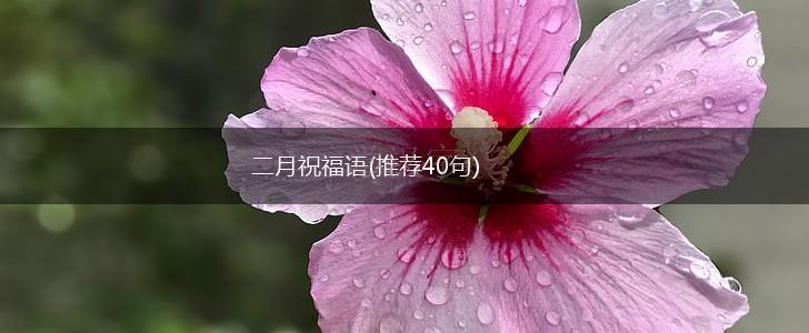 二月祝福语(推荐40句),第1张