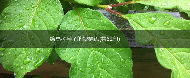 给高考学子的祝福语(共61句),第1张