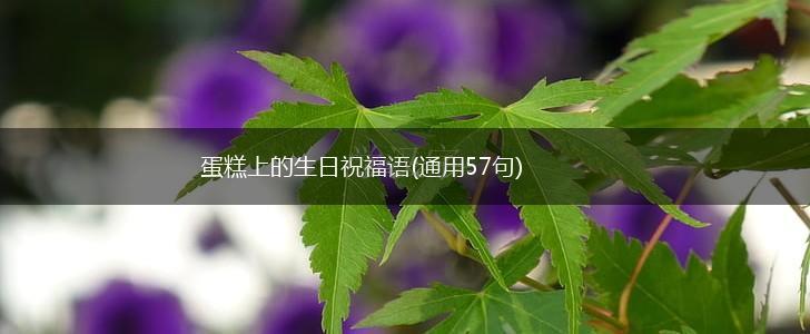 蛋糕上的生日祝福语(通用57句),第1张