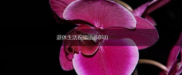 退休生活祝福语(50句),第1张