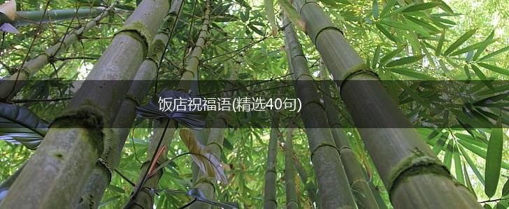 饭店祝福语(精选40句),第1张