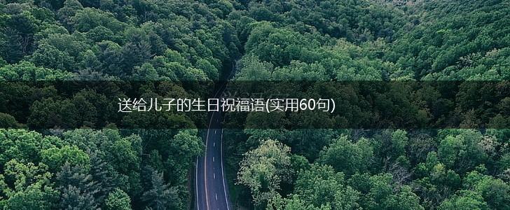 送给儿子的生日祝福语(实用60句),第1张