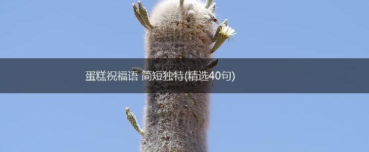蛋糕祝福语 简短独特(精选40句),第1张