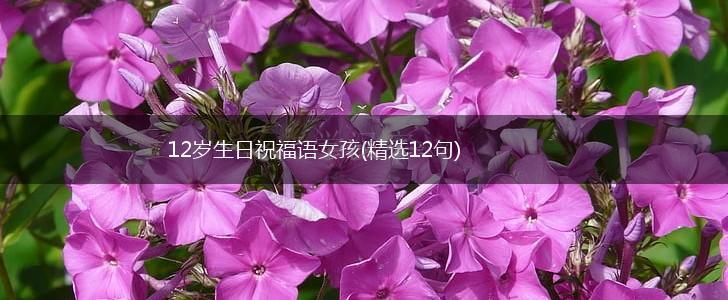 12岁生日祝福语女孩(精选12句),第1张