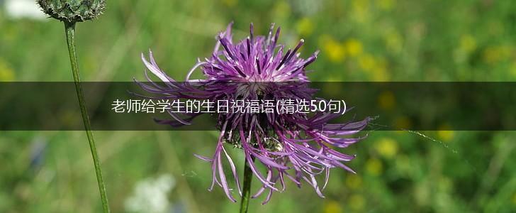 老师给学生的生日祝福语(精选50句),第1张